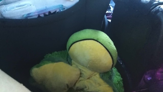 Yet Another car pee :P I just love it!!