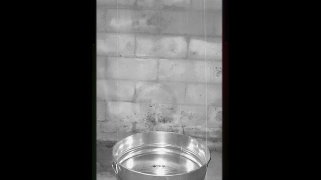 Demons Pees in washbucket 4