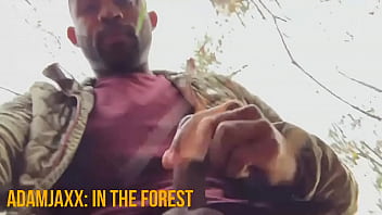 AdamJaxx: In The Forest