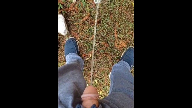Back Yard Pissing