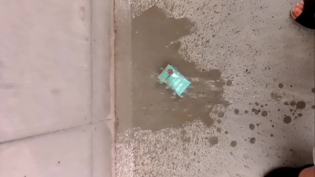 ゴミにおしっこかけてきた