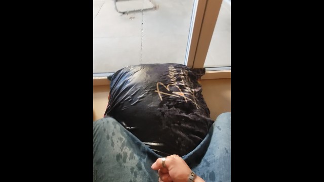 Pee desperation on my plant and pillow