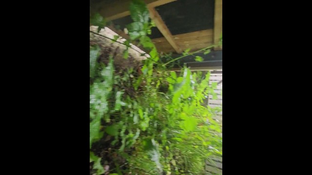 Pissing by the train station