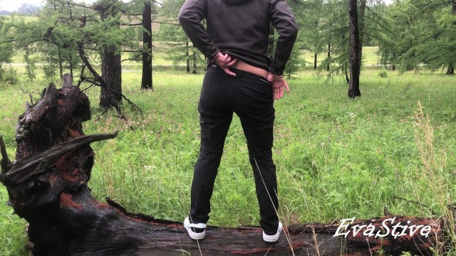 pissing sitting on a tree