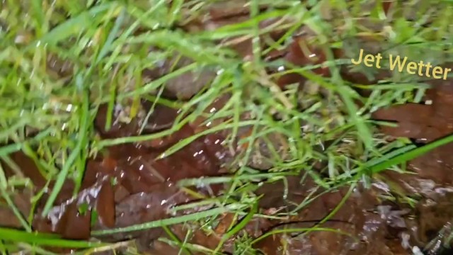 Desperate pee outside: leaking, nonchalant and self-pee in the garden