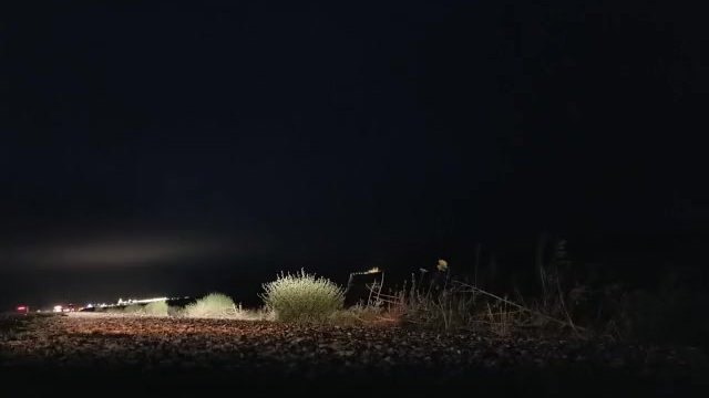 Pissing On The Side Of The Highway On Roadtrip