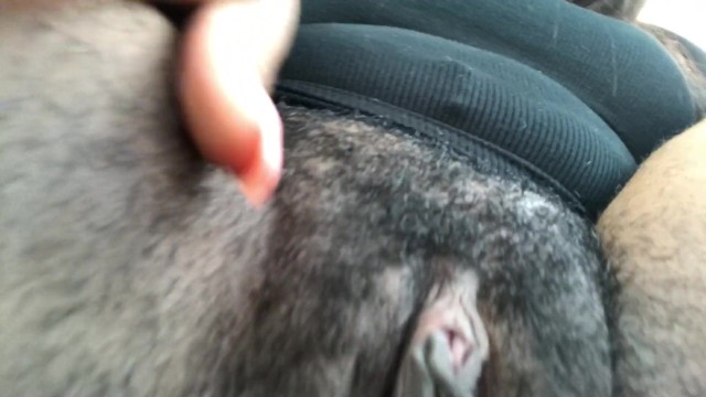 Masturbating my hairy pussy in Best Buy parking lot.