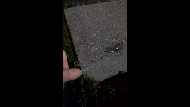Pissing in public parc