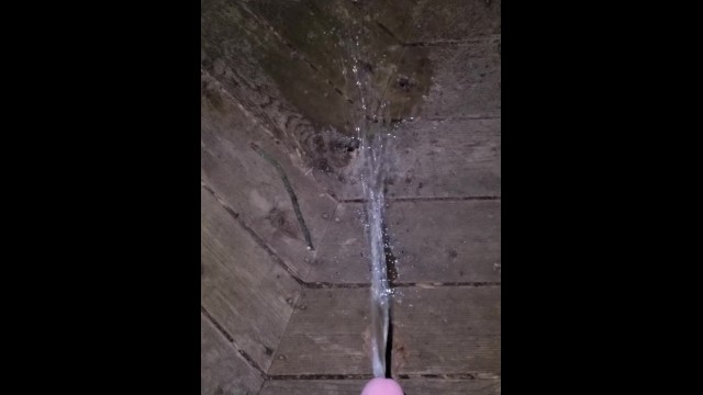 Gazebo Piss 《4K》