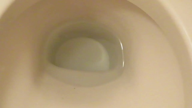 Flushing the toilet, after pissing!