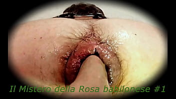 Il Mistero della Rosa babilonese #1