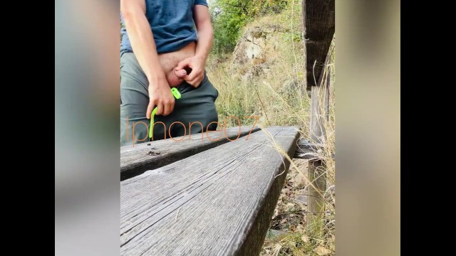 Huge piss on public park bench. I couldn't hold it Sorry for the dirty