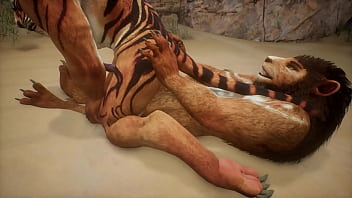 Tiger and Lion find a near by cave and make love - Wildlife